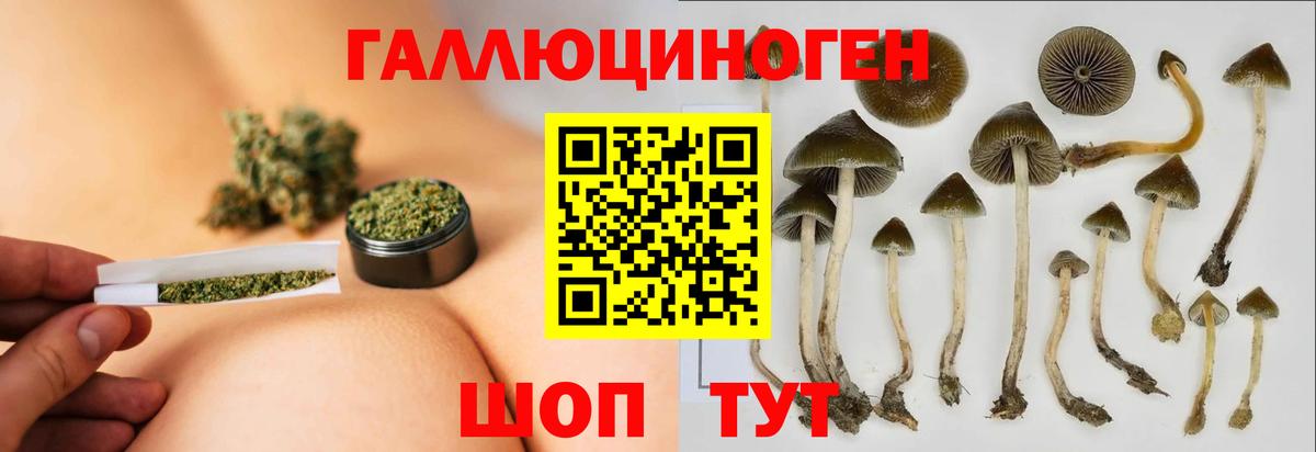 Когалым  Псилоцибиновые грибы мухоморы  Вход с VPN  Галлюциногенные грибы Cubensis 